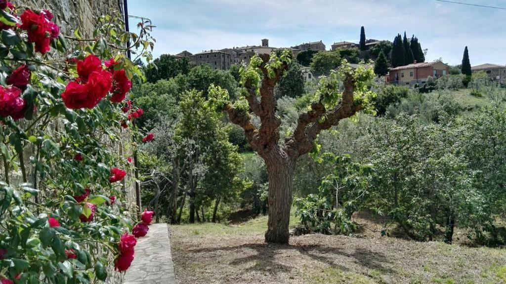 Colombaio In Colle Bed & Breakfast Sant'Angelo in Colle Exterior photo