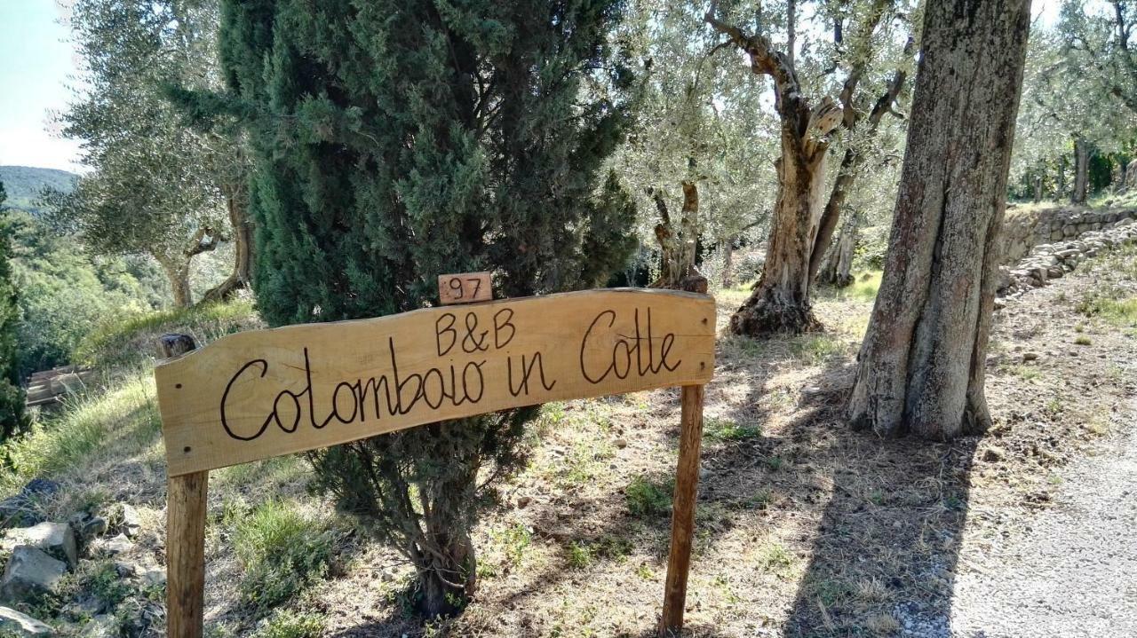 Colombaio In Colle Bed & Breakfast Sant'Angelo in Colle Exterior photo