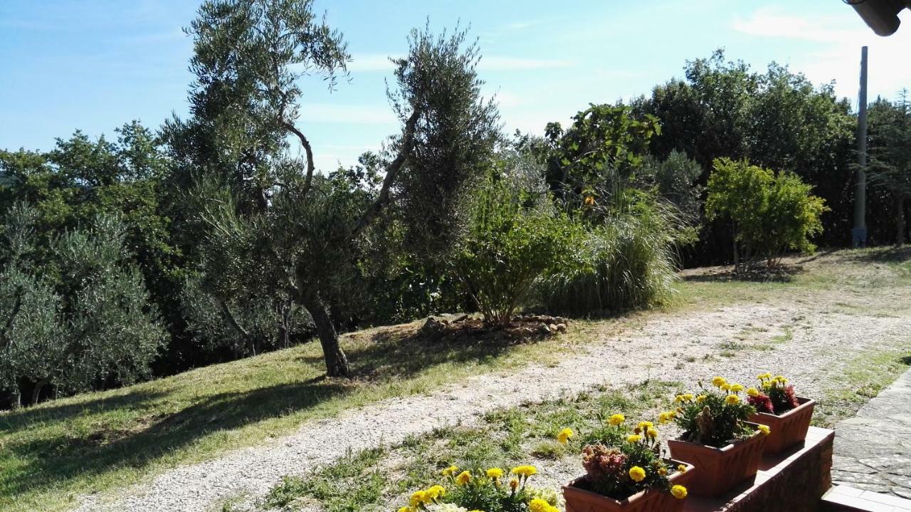 Colombaio In Colle Bed & Breakfast Sant'Angelo in Colle Exterior photo